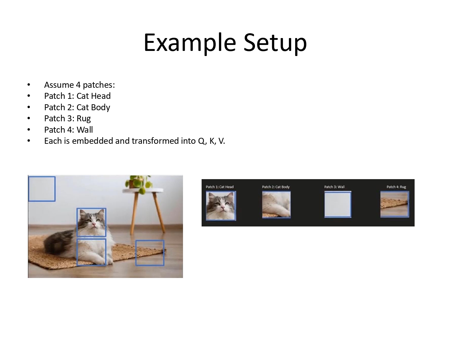Cat Example Setup